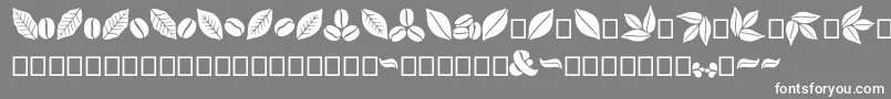 Aromatron Ornaments Font – White Fonts on Gray Background