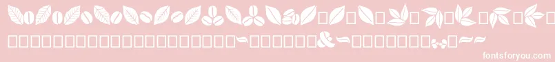 Aromatron Ornaments Font – White Fonts on Pink Background