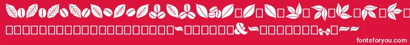 Aromatron Ornaments Font – White Fonts on Red Background