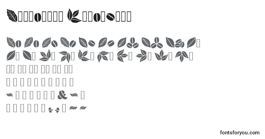 A fonte Aromatron Ornaments (120003) – alfabeto, números, caracteres especiais
