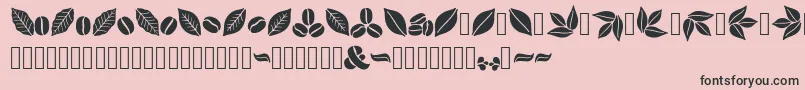 Aromatron Ornaments Font – Black Fonts on Pink Background
