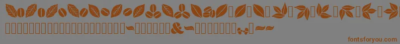 Aromatron Ornaments Font – Brown Fonts on Gray Background