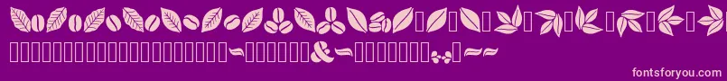 Aromatron Ornaments Font – Pink Fonts on Purple Background