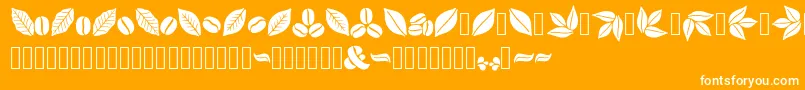 Aromatron Ornaments Font – White Fonts on Orange Background