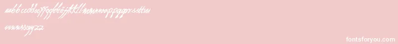 As I Lay Dying Font – White Fonts on Pink Background