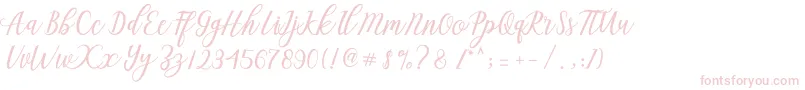 Aseline Script Font – Pink Fonts on White Background