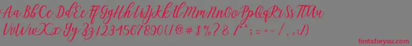 フォントAseline Script – 赤い文字の灰色の背景