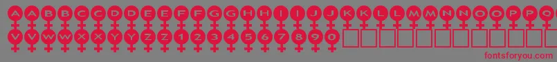 asfemale Font – Red Fonts on Gray Background