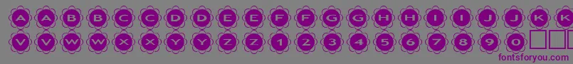 asflowers Font – Purple Fonts on Gray Background