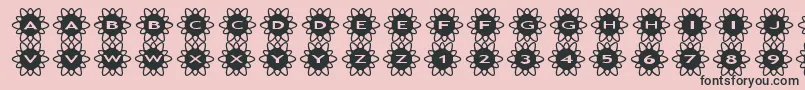 asflowers2 Font – Black Fonts on Pink Background