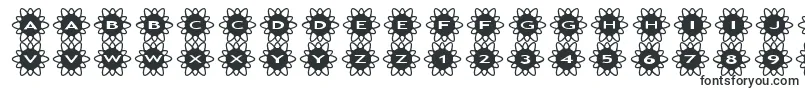 asflowers2-fontti – Alkavat A:lla olevat fontit