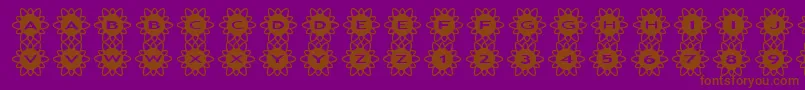 asflowers2-fontti – ruskeat fontit violetilla taustalla