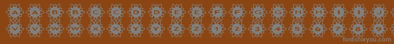 asflowers2-fontti – harmaat kirjasimet ruskealla taustalla