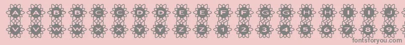 asflowers2 Font – Gray Fonts on Pink Background