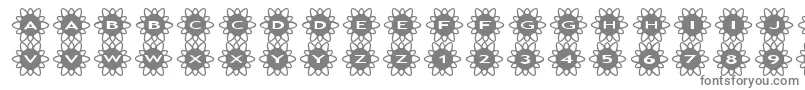 Czcionka asflowers2 – szare czcionki na białym tle