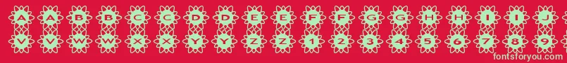 Czcionka asflowers2 – zielone czcionki na czerwonym tle