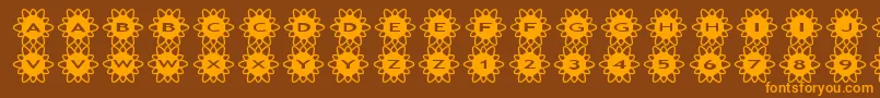 asflowers2 Font – Orange Fonts on Brown Background