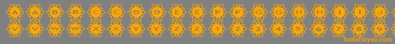 asflowers2 Font – Orange Fonts on Gray Background
