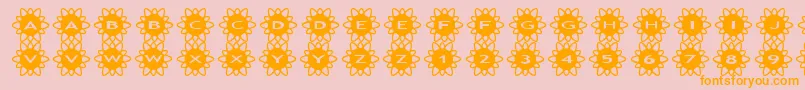 asflowers2 Font – Orange Fonts on Pink Background
