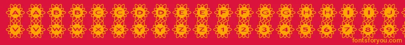 asflowers2 Font – Orange Fonts on Red Background