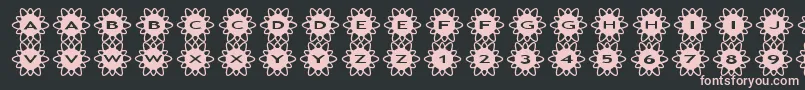 asflowers2 Font – Pink Fonts on Black Background