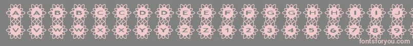 asflowers2 Font – Pink Fonts on Gray Background