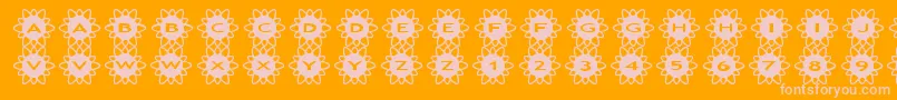 asflowers2-fontti – vaaleanpunaiset fontit oranssilla taustalla