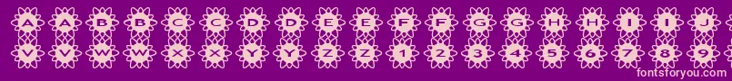 asflowers2 Font – Pink Fonts on Purple Background