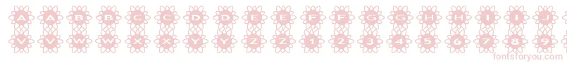asflowers2 Font – Pink Fonts on White Background