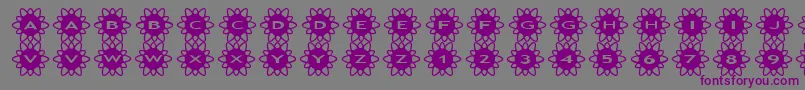 asflowers2 Font – Purple Fonts on Gray Background