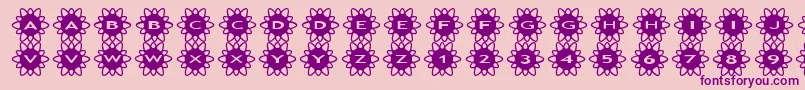 asflowers2 Font – Purple Fonts on Pink Background