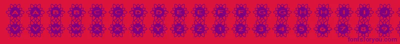 asflowers2 Font – Purple Fonts on Red Background