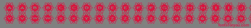 asflowers2 Font – Red Fonts on Gray Background
