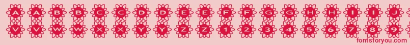 fuente asflowers2 – Fuentes Rojas Sobre Fondo Rosa