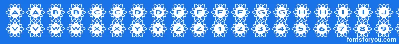 asflowers2 Font – White Fonts on Blue Background