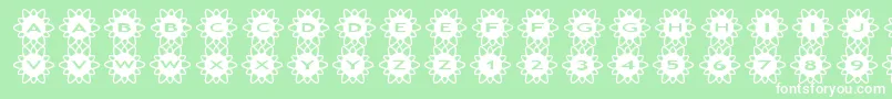 asflowers2 Font – White Fonts on Green Background