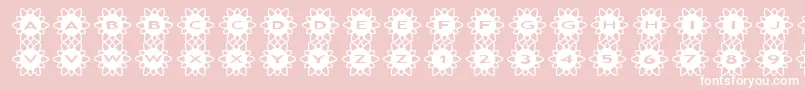 Saiba mais sobre a fonte asflowers2 Fonte asflowers2 – fontes brancas em um fundo rosa