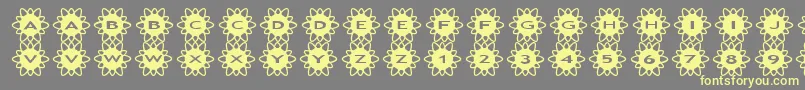 asflowers2 Font – Yellow Fonts on Gray Background