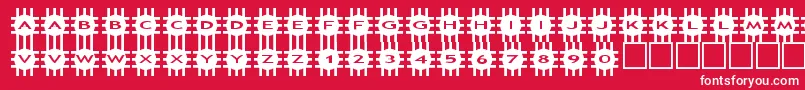 asgrids Font – White Fonts on Red Background