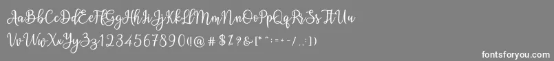 Ashadiya Font – White Fonts on Gray Background
