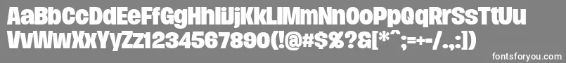 DueraNormboldPersonal Font – White Fonts on Gray Background