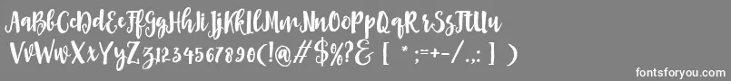 Asly Brush Font – White Fonts on Gray Background