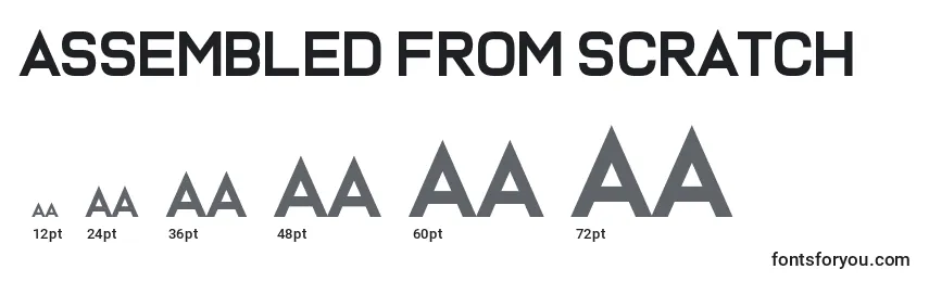 Assembled From Scratch Font Sizes