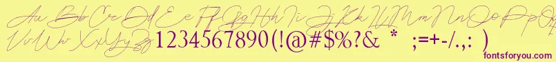 Astina Font – Purple Fonts on Yellow Background