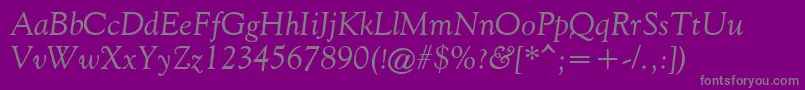 FilcoOldeStyleItalic-Schriftart – Graue Schriften auf violettem Hintergrund