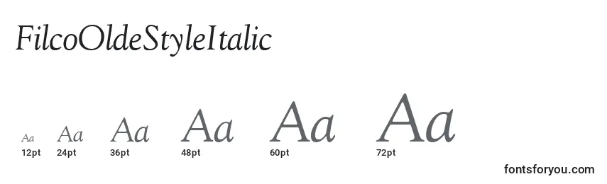 Размеры шрифта FilcoOldeStyleItalic