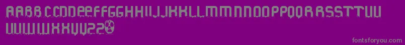 FluidChristmas Font – Gray Fonts on Purple Background