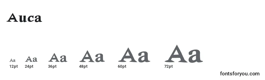 Größen der Schriftart Auca