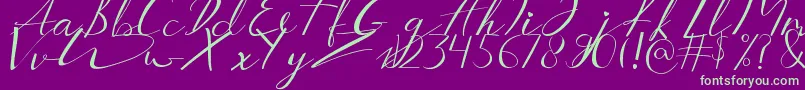 Aucklands Script-Schriftart – Grüne Schriften auf violettem Hintergrund