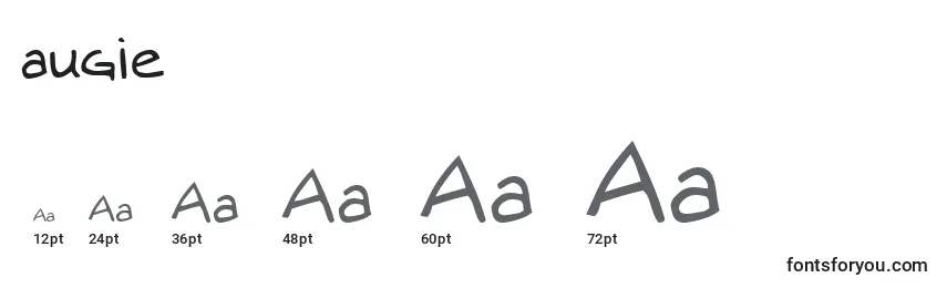 Размеры шрифта Augie (120242)